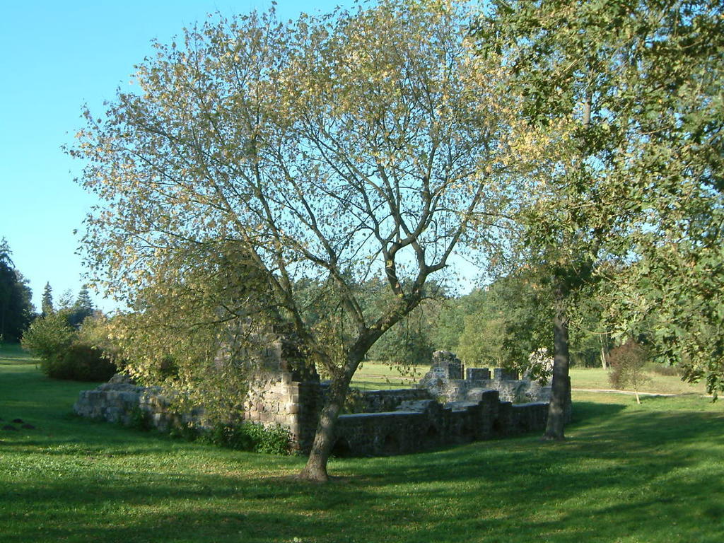 Haus Am See Chorin Kültér fotó