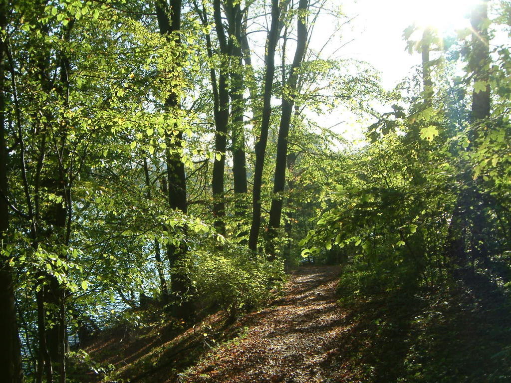 Haus Am See Chorin Kültér fotó