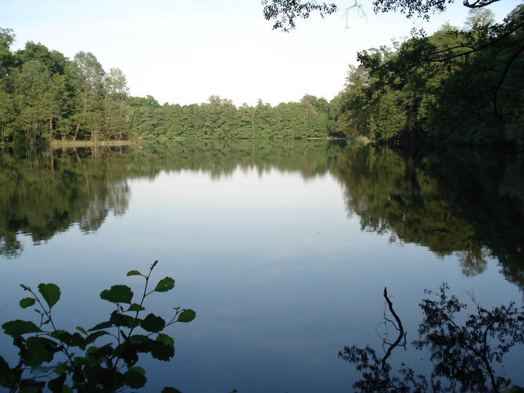 Haus Am See Chorin Kültér fotó